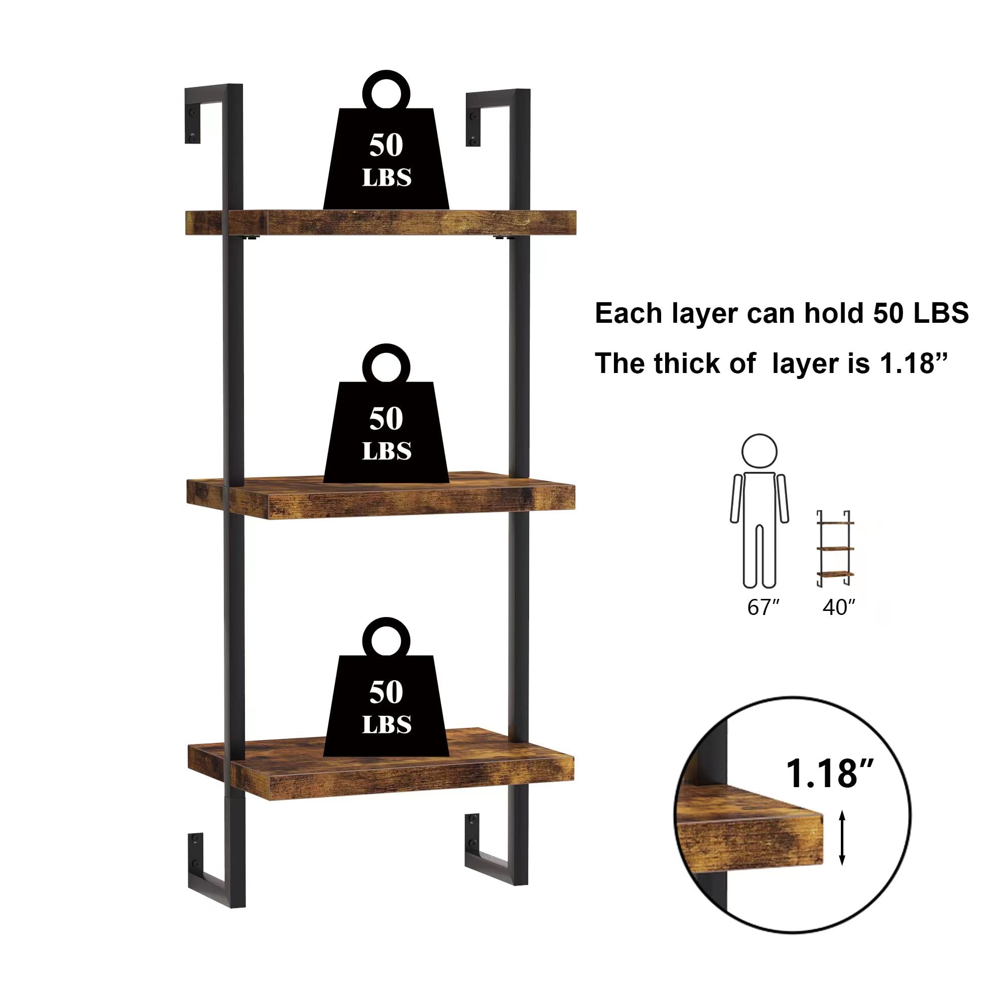 Factory Direct 2026 50lbs Capa - Wall Shelf Commercial Kitchen review and price