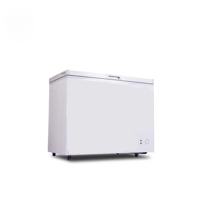 100~300 Liters Small Capacity  - Commercial Chest Freezer review and price